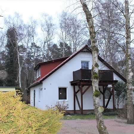 Apartament Hus Suennschien Fw2 Dierhagen Zewnętrze zdjęcie